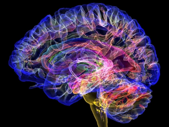 黄色操逼网美国大脑植入物有助于严重头部损伤恢复
